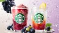 starbucks grape beverages japan august 17 01
