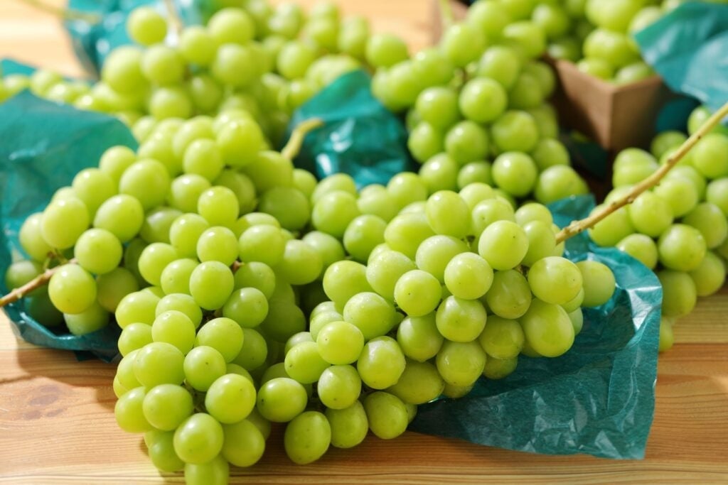 Sweets Paradise Offers All-You-Can-Eat Shine Muscat, Kyoho Grapes, and Melon from ¥3,600 in Japan