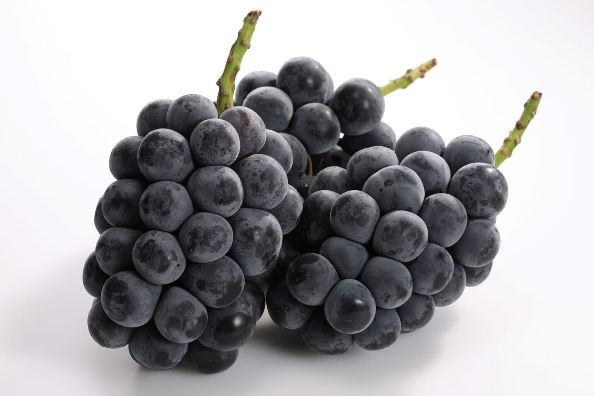 Sweets Paradise Offers All-You-Can-Eat Shine Muscat, Kyoho Grapes, and Melon from ¥3,600 in Japan
