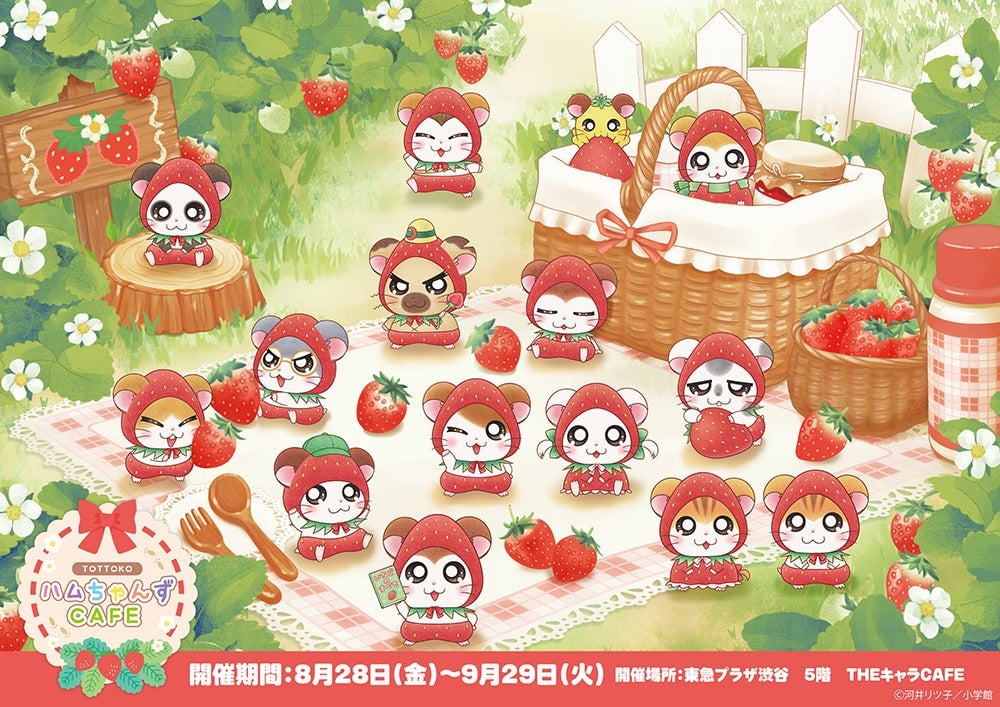 Totoko Hamutanzu Cafe Collaboration Opens at Tokyu Plaza Shibuya