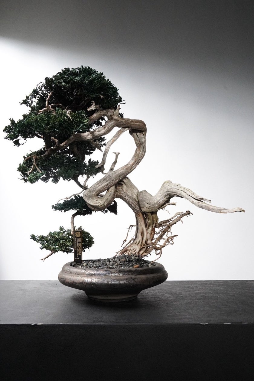 TOUFU TOKYO's Limited-Edition RE BONSAI Pop-Up at Isetan Shinjuku