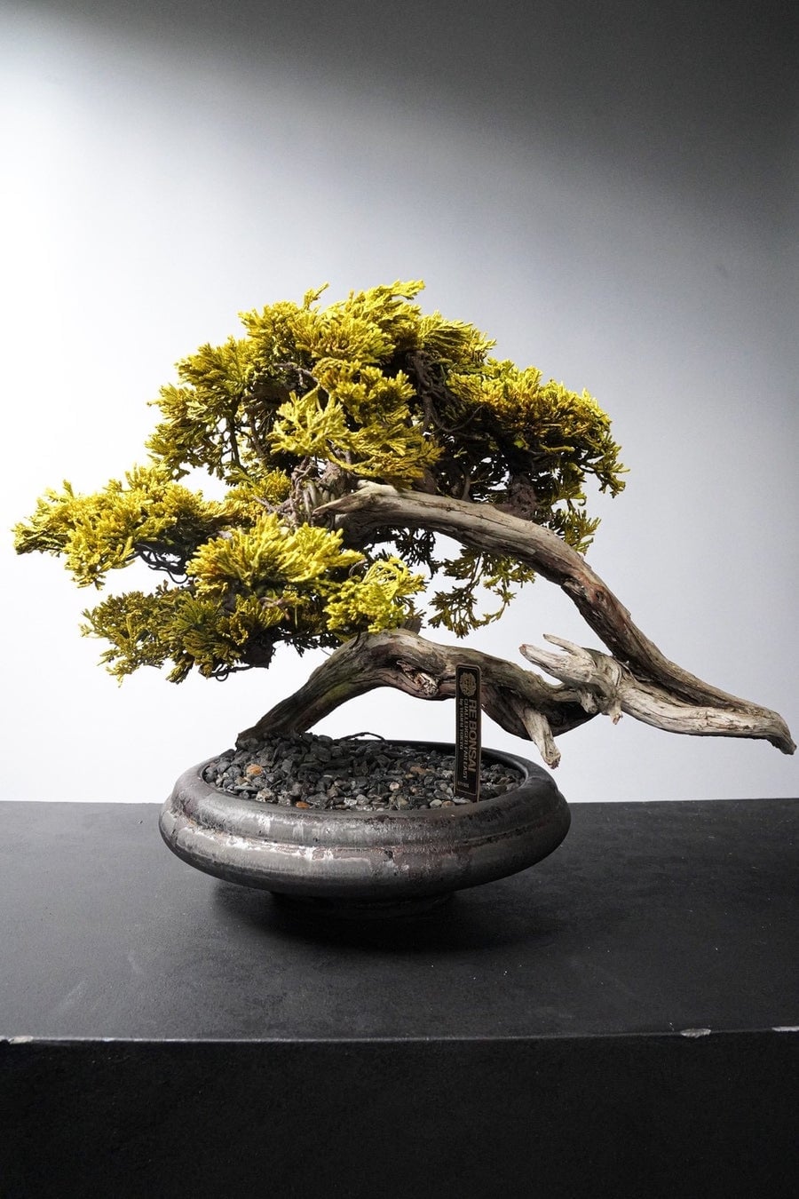 TOUFU TOKYO's Limited-Edition RE BONSAI Pop-Up at Isetan Shinjuku