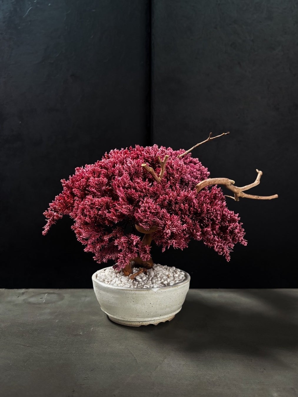 TOUFU TOKYO's Limited-Edition RE BONSAI Pop-Up at Isetan Shinjuku