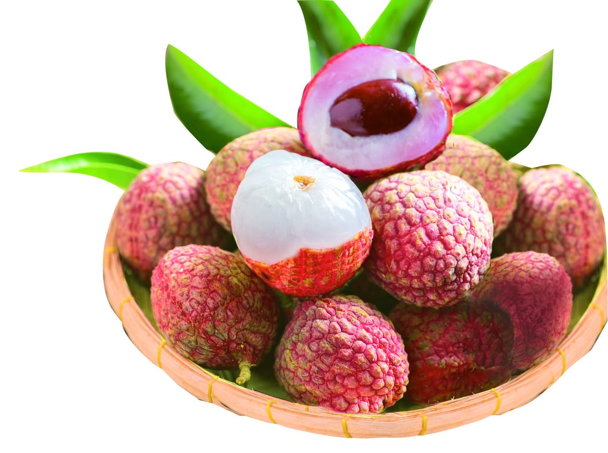 Vietnam Fair at AEON Saitama: Experience Authentic Vietnamese Cuisine