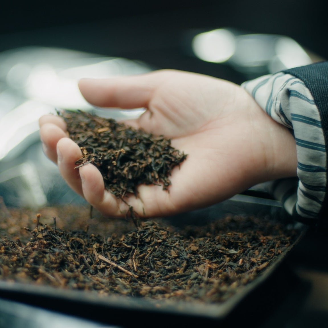 Japanese black tea from Yame