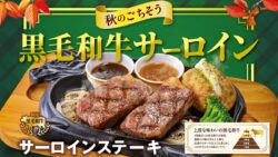 big boy japanese wagyu sirloin steak fair tokyo 01