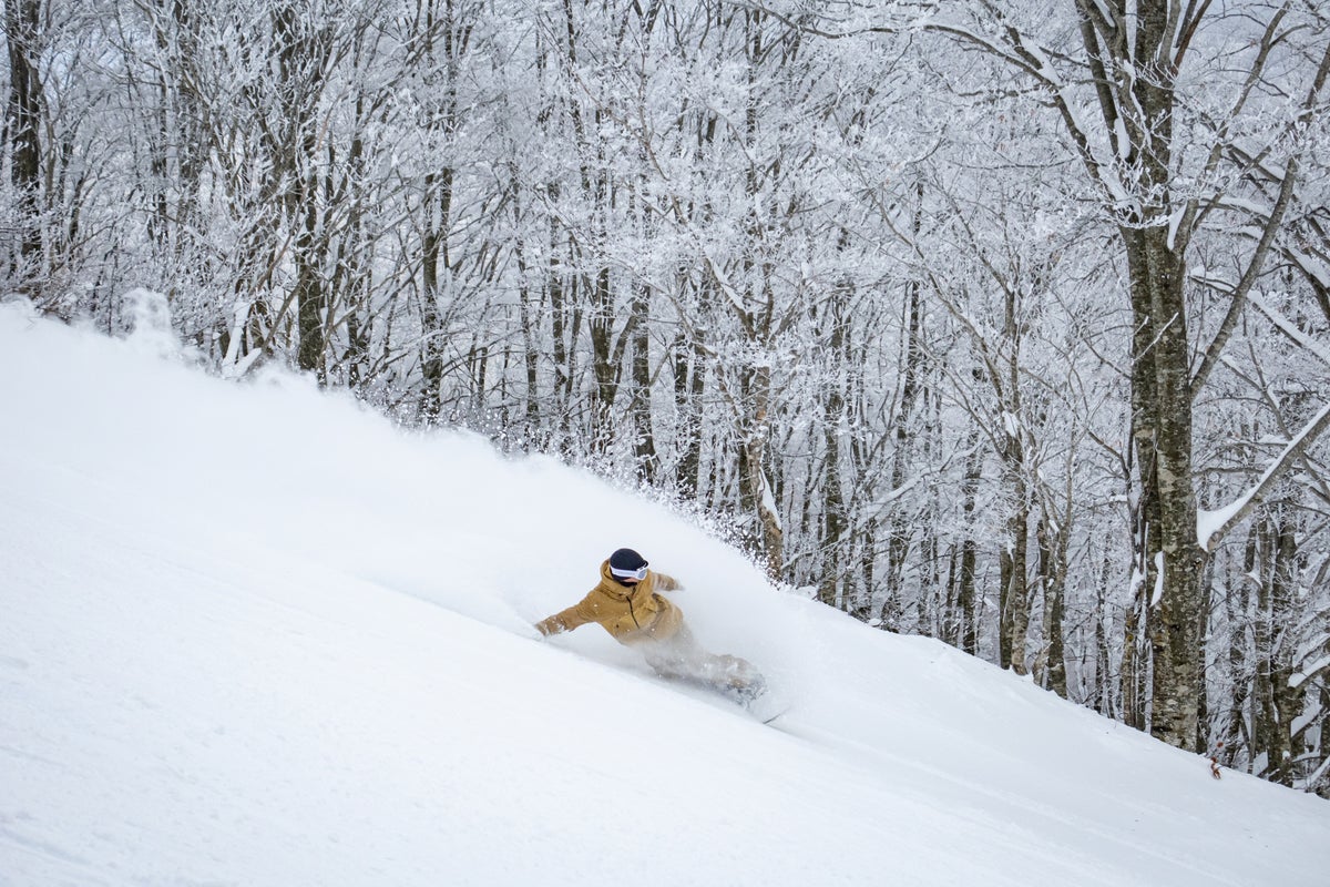The North Area features high-quality microfine snow, thanks to unique terrain and environment.