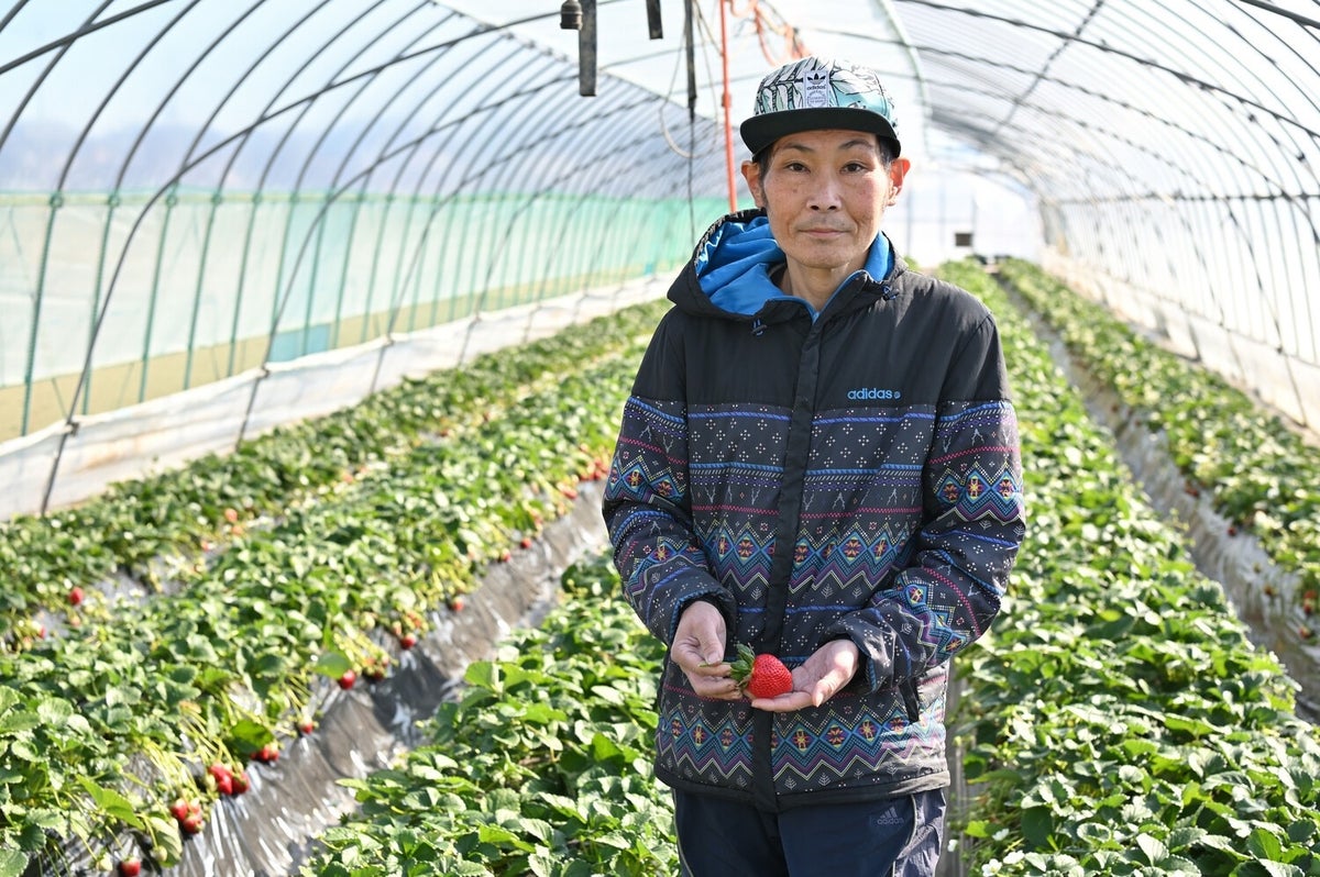 Amarin Strawberry Producer: Mizuno-san