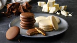 cheese garden goyotei chocolate cheese cookies tochigi 01