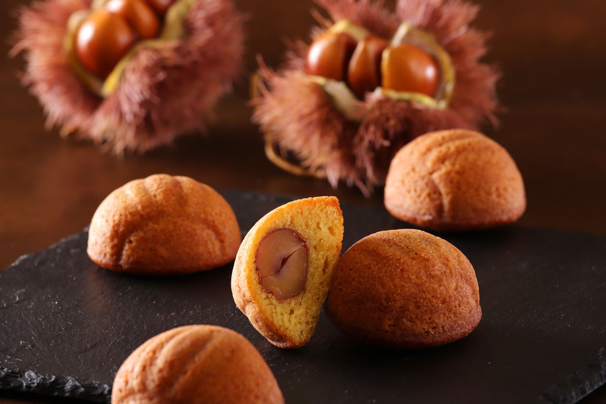 CIAL Yokohama’s Autumn Food Festival Features 17 Shops, October 1–31 October 1