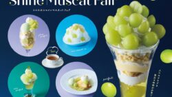 cocos shine muscat parfait 14 grapes japan 01