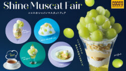 cocos shine muscat parfait 14 grapes japan 05