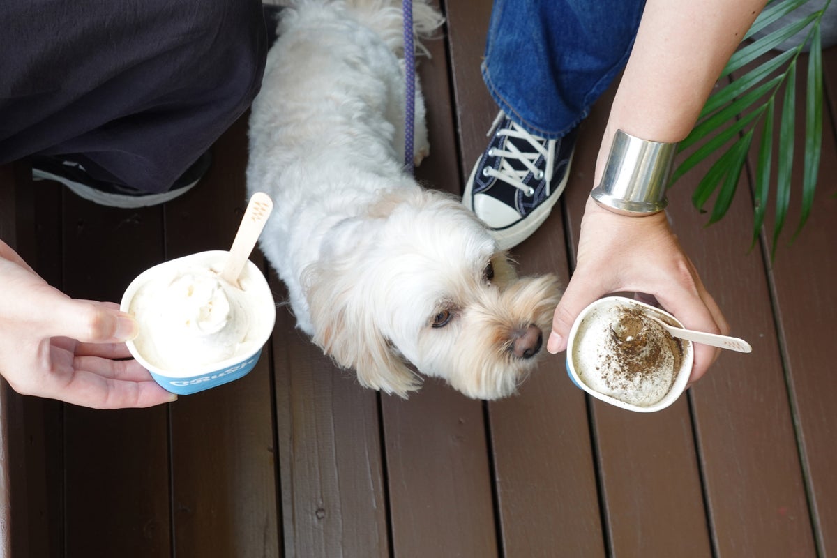 The terrace seats are dog-friendly. We aim to be a casual spot for a break during your walk in Shichirigahama.