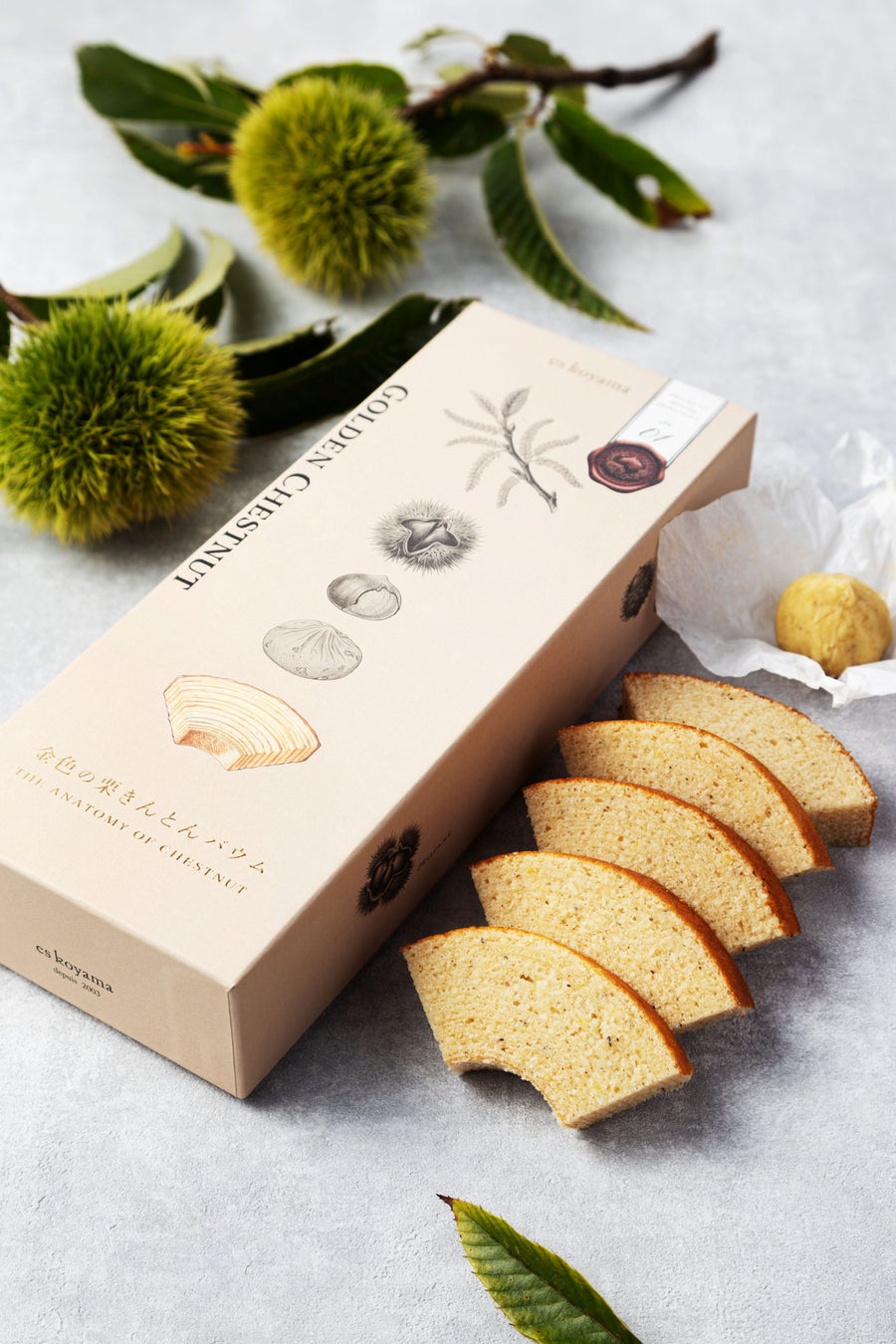Chestnut Study Collection No.01 'Golden Chestnut Kinton Baum'