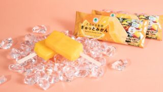 Limited-Run FamilyMart Gutto Mikan Ice Bar Arrives Across Japan