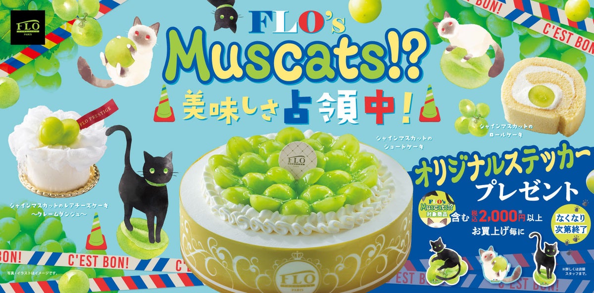 FLO's mascot cat is occupying the Shine Muscat sweets♪