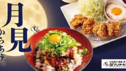 gaburi chicken tsukimi karaage menus nagoya 01