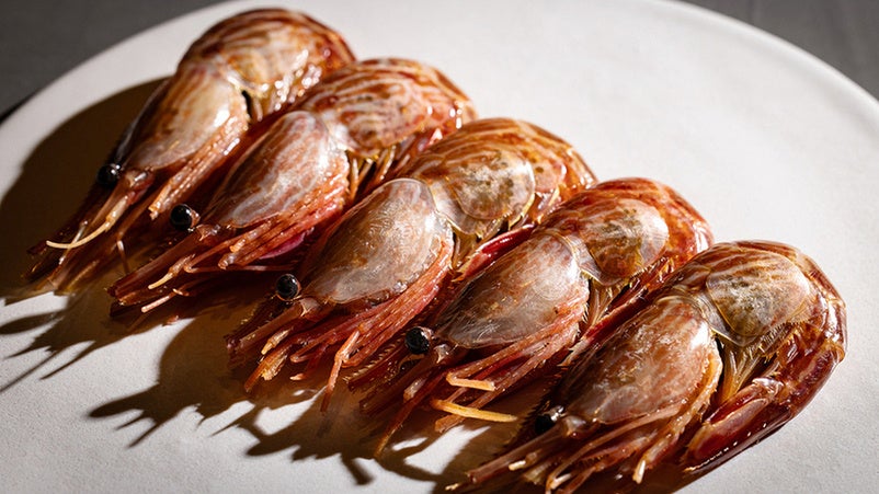 Ginza quinto Opens Public Reservations With New Charcoal-Fired Cuisine