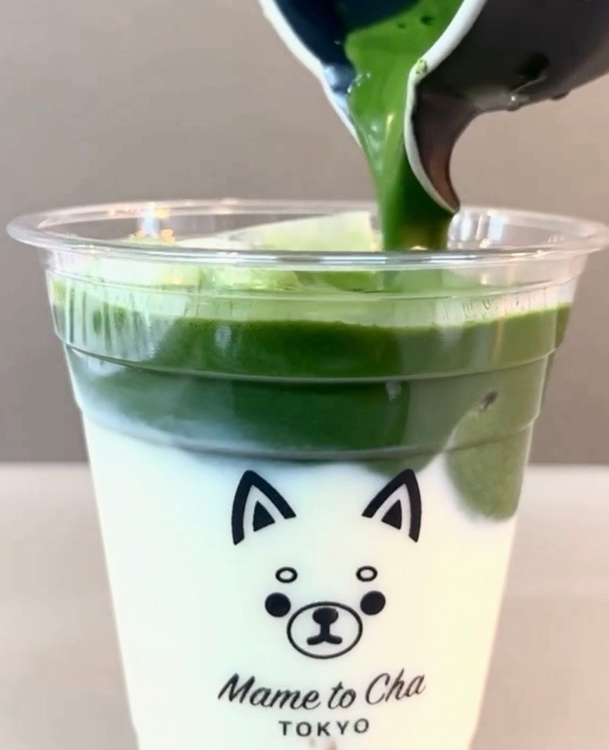 Matcha is prepared right in front of you, and matcha latte with milk is very popular.