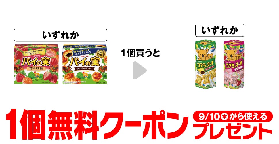 ロッテ パイの実 苺の収穫／ロッテ パイの実
