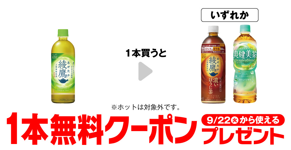 Ayataka 650ml