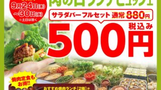 ¥500 Buffet: Kamimura Farm Offers Salad, Ice Cream and Drink Bars Across Japan