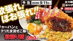 katsuya chahan teritama mixed rice feast japan 01