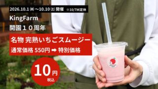 ¥10 Deal: King Farm’s Ripe Strawberry Smoothie in Nishio, Aichi