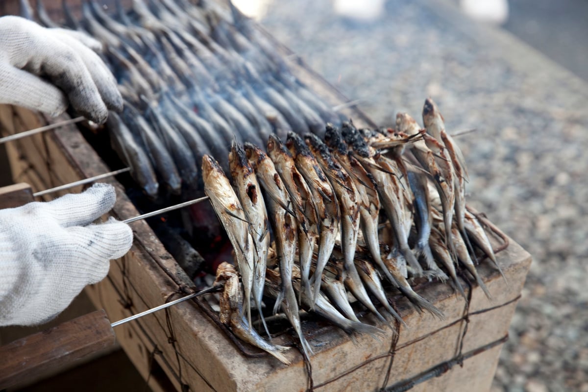 Free Charcoal-Grilled Flying Fish: 13,000 at Kubara Honke’s Fukuoka Festival