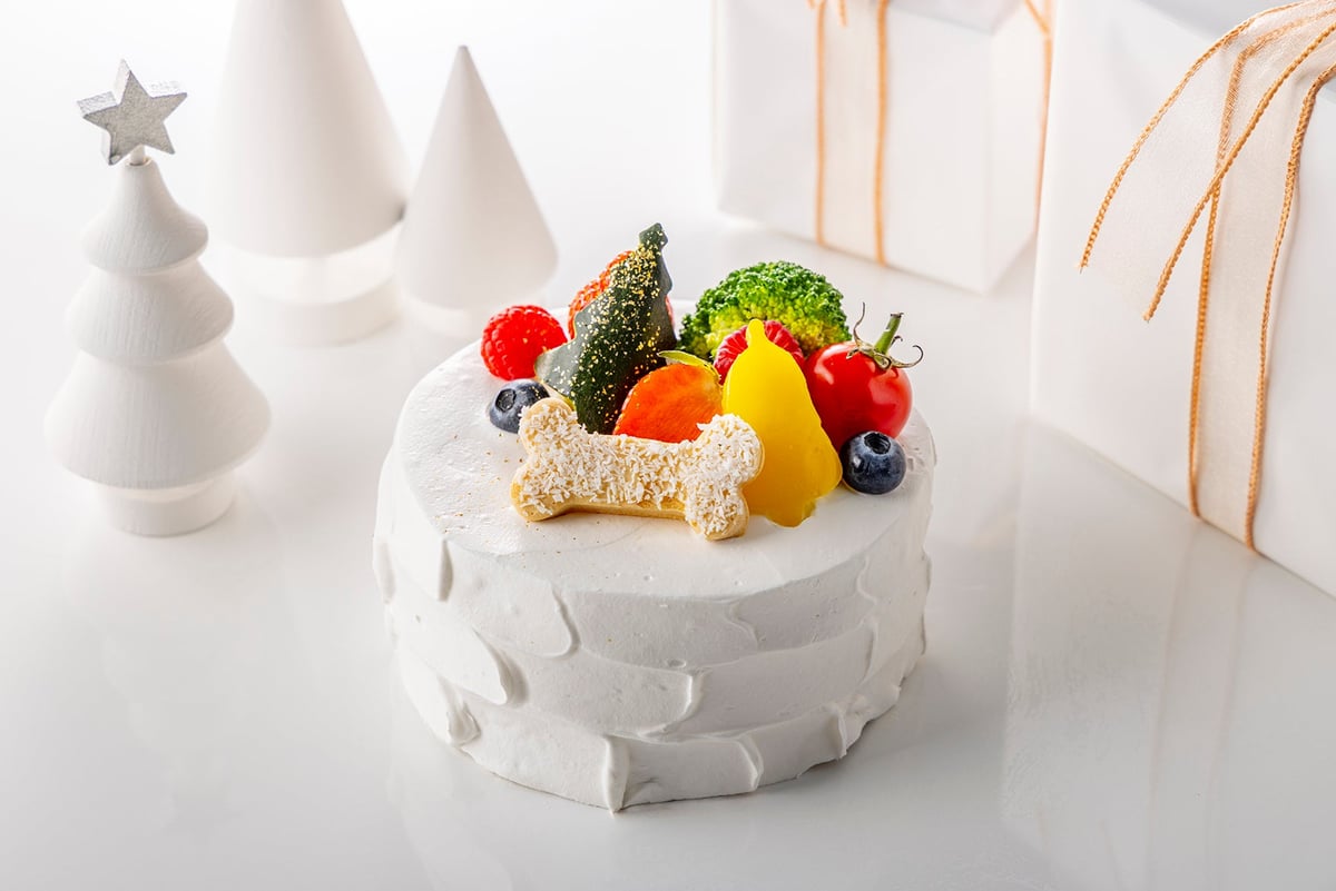Dog Christmas Cake