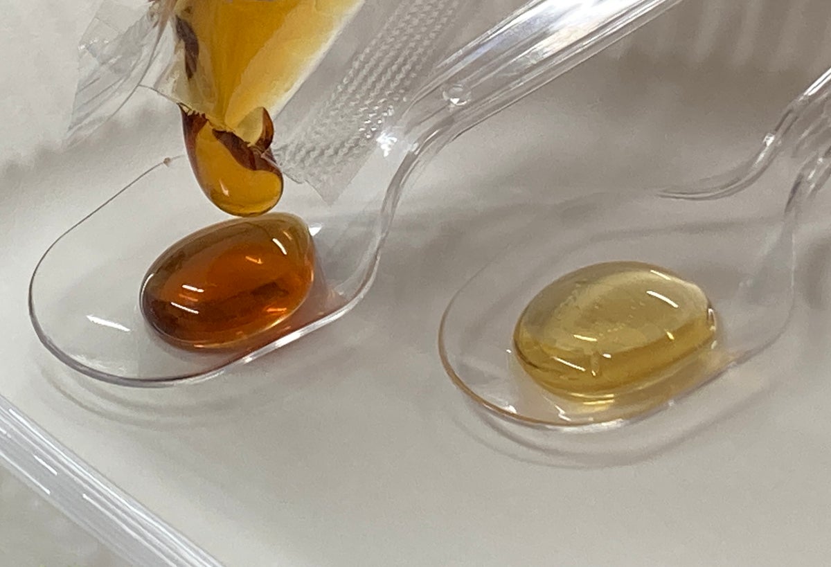 ♢Seibu Agri Park Tokorozawa Honey Tasting Event♢ *Limited quantity* Event date: 10/23. Taste honey harvested from bees raised at Seibu Agri Park Tokorozawa. Tasting: Seibu Agri Park Tokorozawa honey.