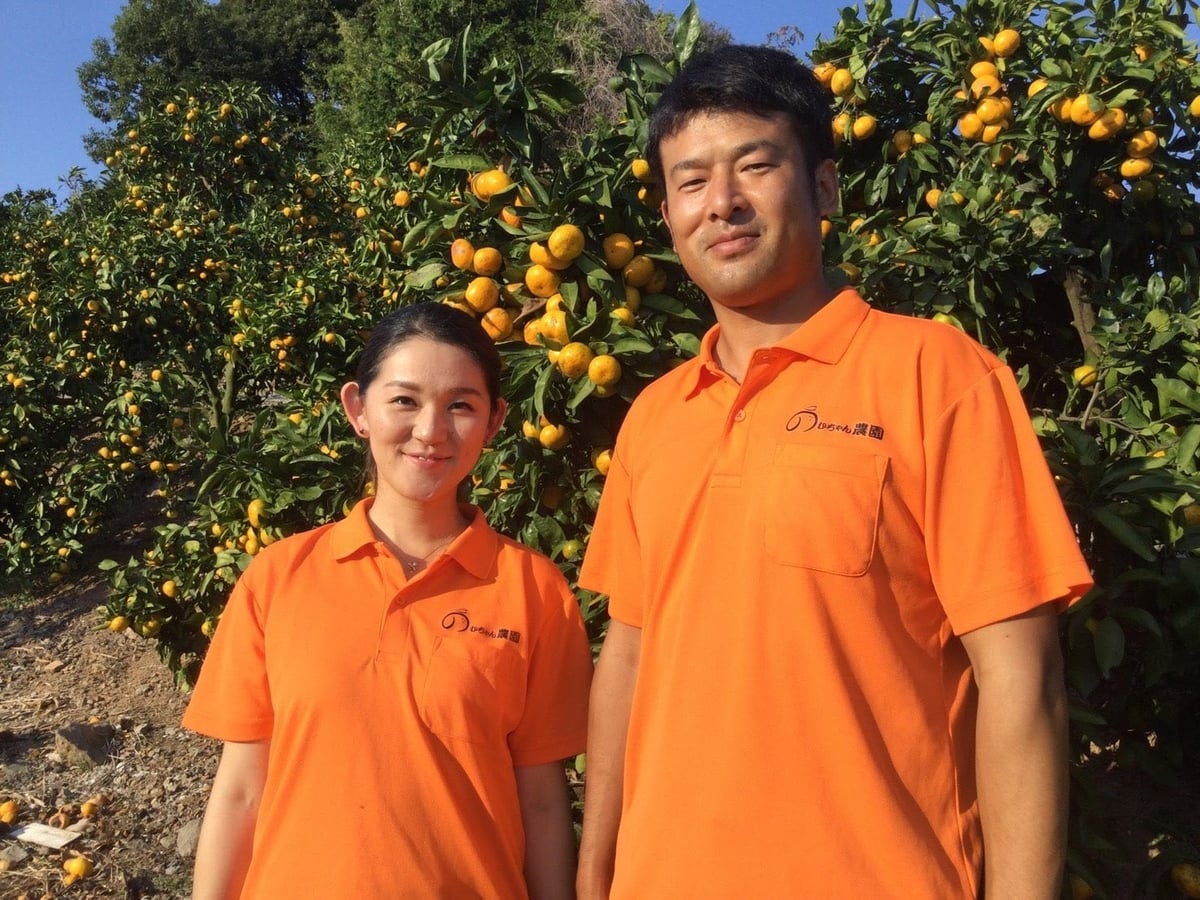 Sanae Nomura and Kazuya Nomura