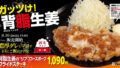 matsunoya pork fried steak set 1090 japan 01