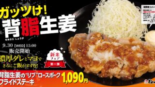 ¥1,090 Deal: Matsunoya Brings Back Pork Fried Steak Set in Japan