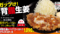 matsunoya pork fried steak set japan 02