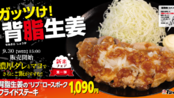 matsunoya pork fried steak set japan 02