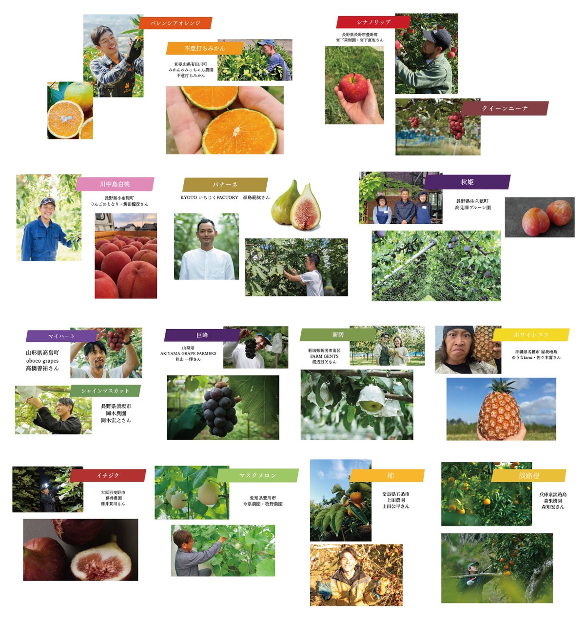 Fruits used in the full 30-item fruit afternoon tea and brandy cake, along with producers