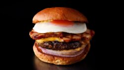 new otani premium autumn tsukimi burger 01