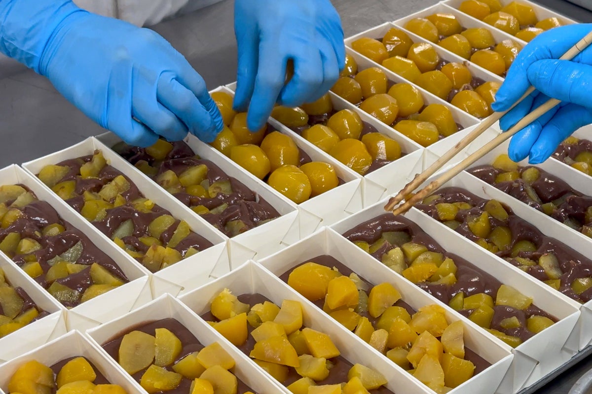Limited-Run Okashi no Taiyo's Nama Kuri Mushi Yokan Returns in Chiba