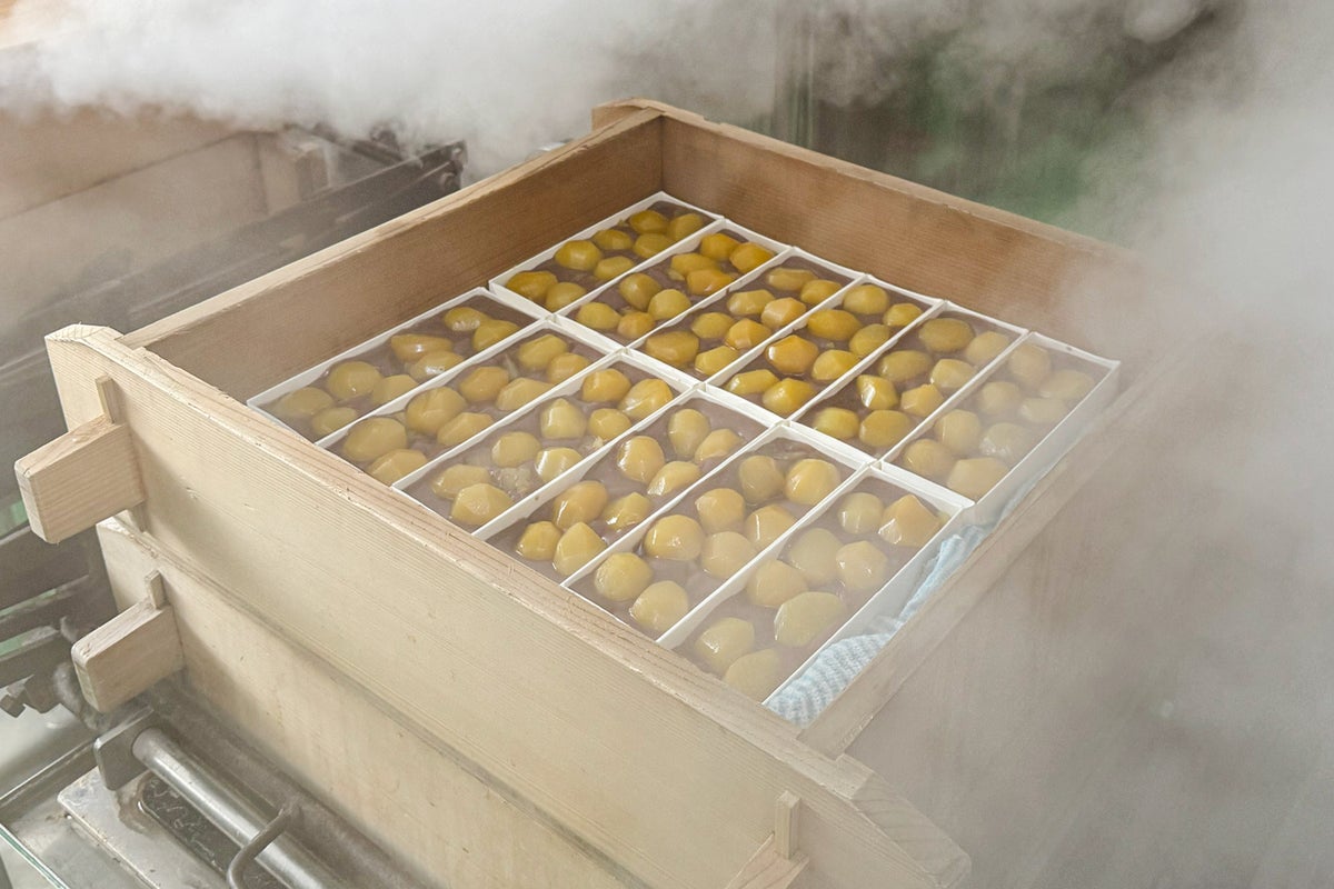 Limited-Run Okashi no Taiyo's Nama Kuri Mushi Yokan Returns in Chiba