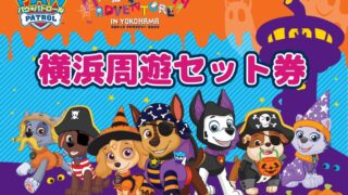 ¥2,580 Adult Deal: Paw Patrol Yokohama Sightseeing Set Ticket in Japan