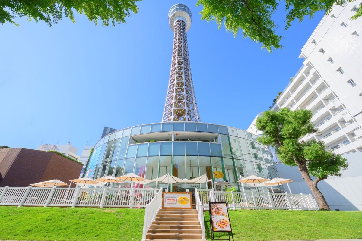 ¥2,580 Adult Deal: Paw Patrol Yokohama Sightseeing Set Ticket in Japan