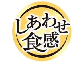 This logo is the mark.