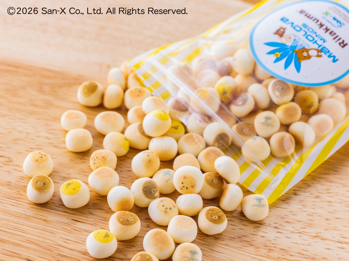 Gift of Rilakkuma Boro cookies