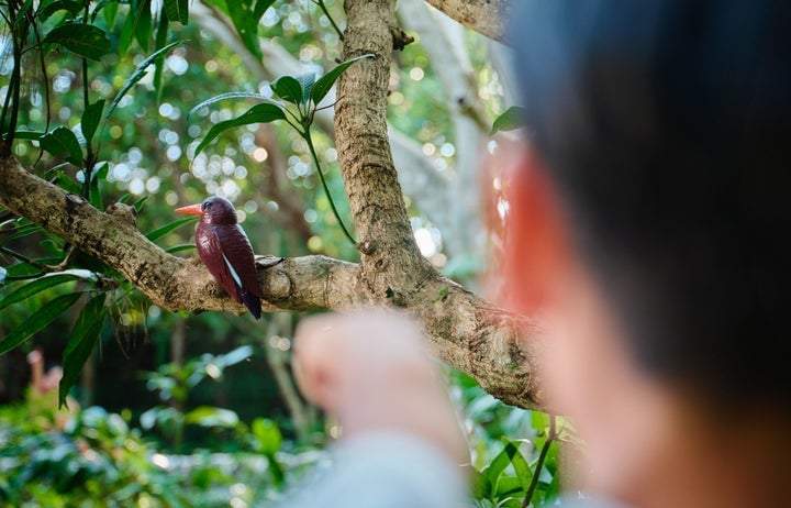 Ritz-Carlton Okinawa Launches Family Adventure Package with Free Kids' Dinner