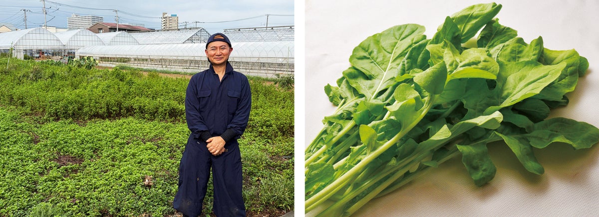 Niikura Farm in Nishitokyo City is an urban herb farm nestled in a residential area. Utilizing land resistant to water damage and greenhouse cultivation, they supply herbs like basil and arugula year-round.