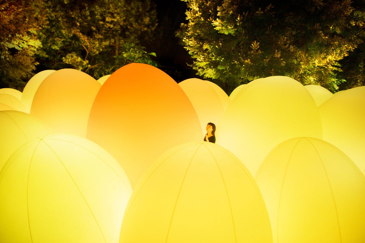 From ¥700: teamLab Fukuoka Castle Ruins Light Festival Returns in Japan October 30