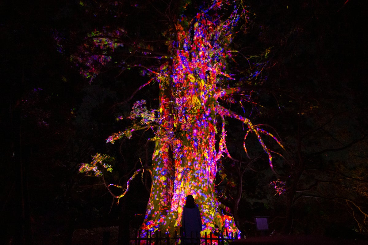 From ¥700: teamLab Fukuoka Castle Ruins Light Festival Returns in Japan October 30