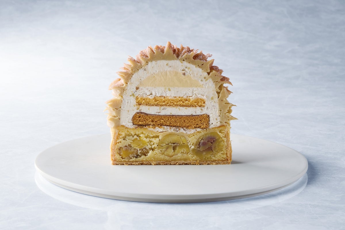 Japanese chestnut Mont Blanc ~Éclat de Noël~ (cross-section)