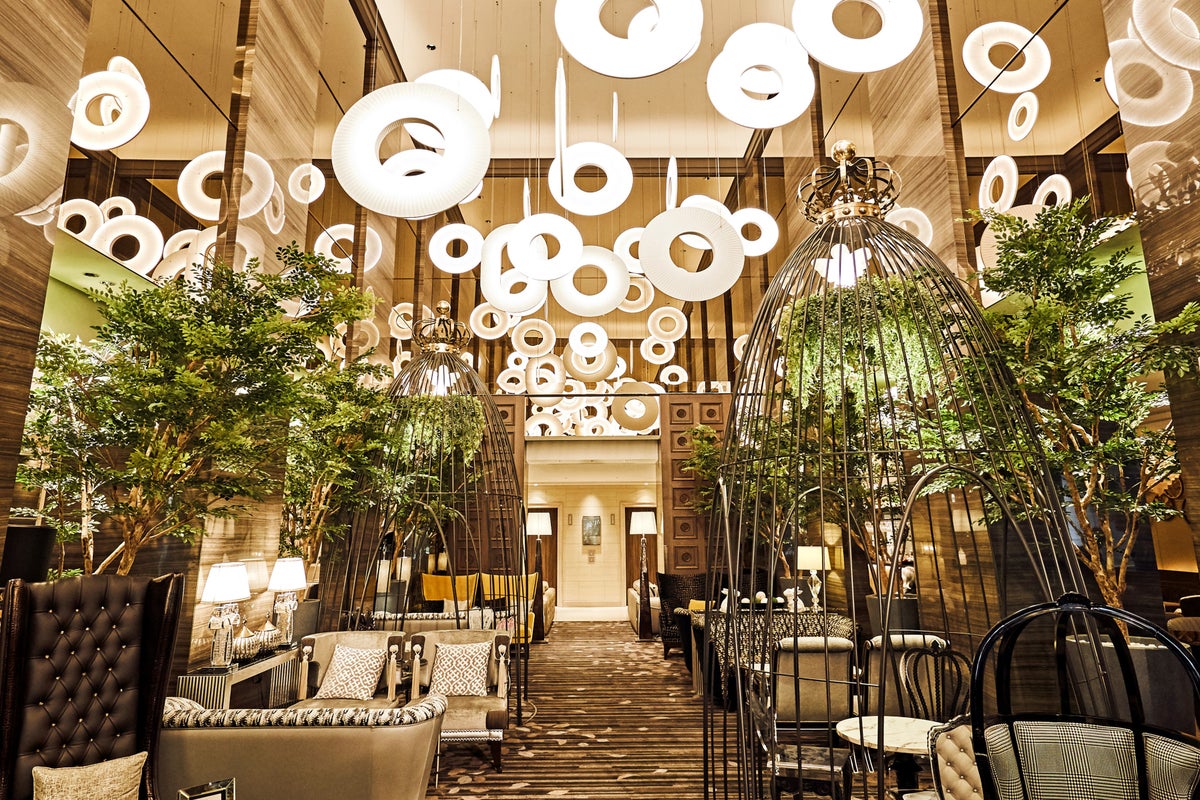 【Store Overview】Cafe & Dining ZelkovA. The name ZelkovA means 'Zelkova,' a type of tree. The terrace, illuminated by sunlight filtering through the Zelkova trees along Omotesando, offers a space symbolizing the area. Here, you can enjoy international cuisine inspired by New York, where global flavors come together. Location: 1st Floor, The Strings Omotesando, 3-6-8 Kita-Aoyama, Minato City, Tokyo. Hours: 11:30–22:00. Phone: 03-5778-4566 (direct line to Cafe & Dining ZelkovA). Official website: https://www.strings-group.jp/omotesando/restaurant/zelkova/